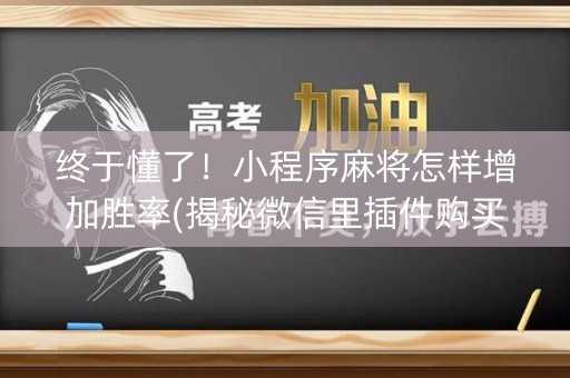 终于懂了！小程序麻将怎样增加胜率(揭秘微信里插件购买)