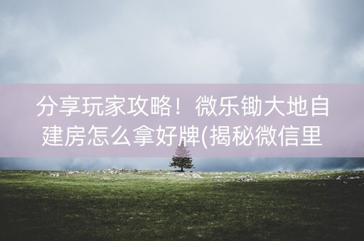 分享玩家攻略！微乐锄大地自建房怎么拿好牌(揭秘微信里攻略插件)