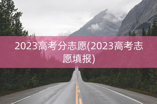 2023高考分志愿(2023高考志愿填报)