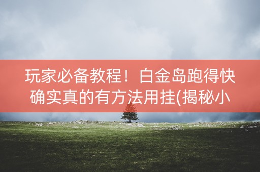 玩家必备教程！白金岛跑得快确实真的有方法用挂(揭秘小程序助攻神器)