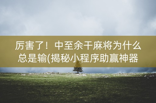 厉害了！中至余干麻将为什么总是输(揭秘小程序助赢神器购买)