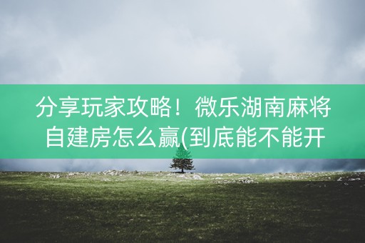 分享玩家攻略！微乐湖南麻将自建房怎么赢(到底能不能开挂)