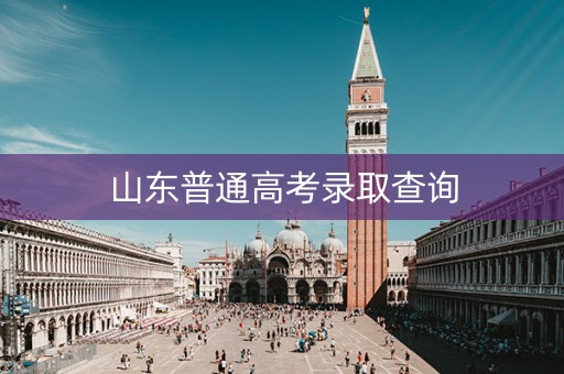 山东普通高考录取查询