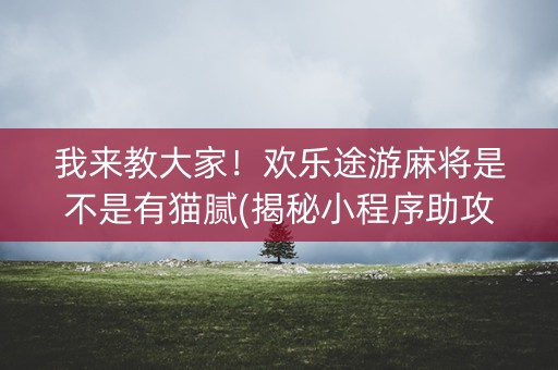 我来教大家！欢乐途游麻将是不是有猫腻(揭秘小程序助攻神器)