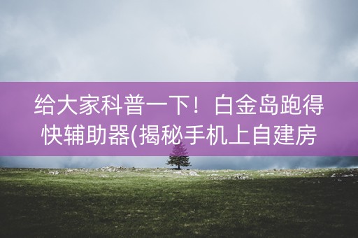 给大家科普一下！白金岛跑得快辅助器(揭秘手机上自建房怎么赢)