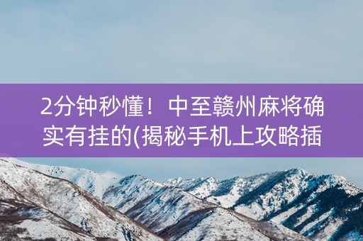 2分钟秒懂！中至赣州麻将确实有挂的(揭秘手机上攻略插件)
