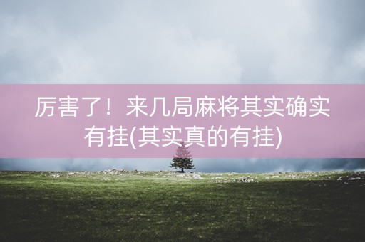 厉害了！来几局麻将其实确实有挂(其实真的有挂)