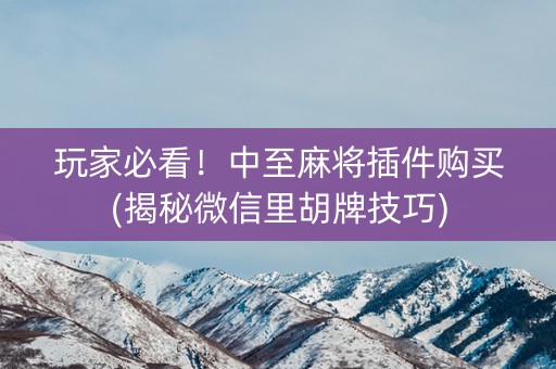 玩家必看！中至麻将插件购买(揭秘微信里胡牌技巧)