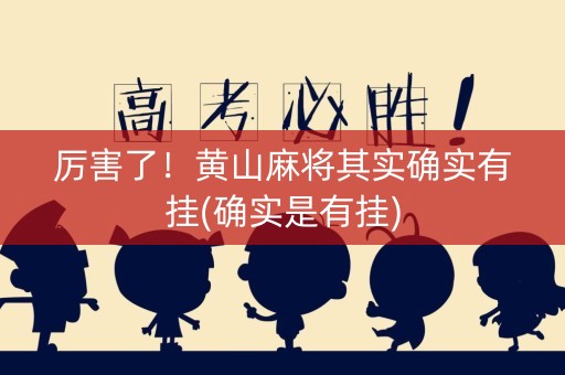 厉害了！黄山麻将其实确实有挂(确实是有挂)