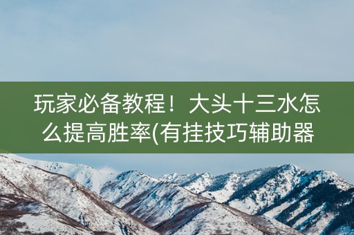 玩家必备教程！大头十三水怎么提高胜率(有挂技巧辅助器)