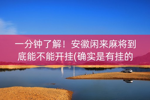 一分钟了解！安徽闲来麻将到底能不能开挂(确实是有挂的)