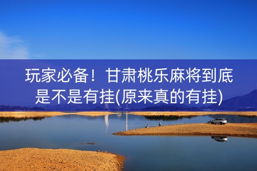 玩家必备！甘肃桃乐麻将到底是不是有挂(原来真的有挂)