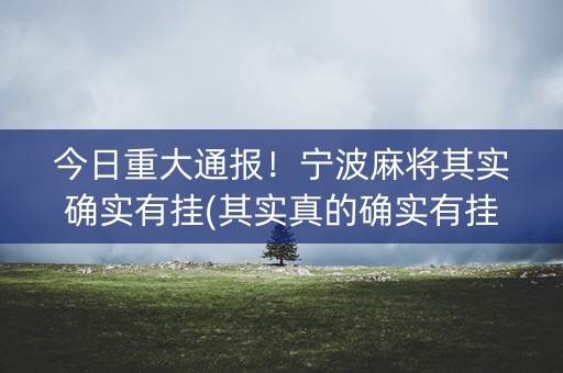 今日重大通报！宁波麻将其实确实有挂(其实真的确实有挂)