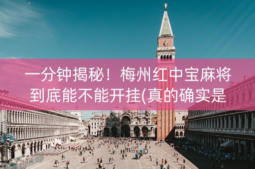 一分钟揭秘！梅州红中宝麻将到底能不能开挂(真的确实是有挂)