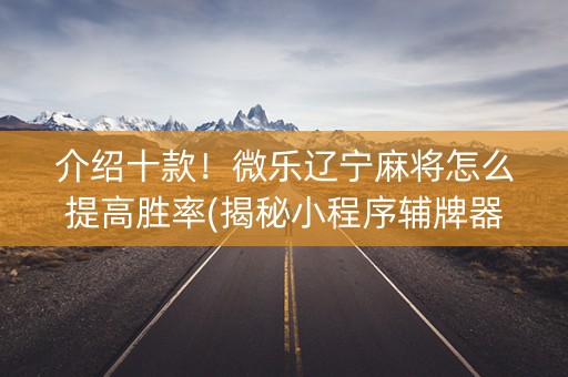 介绍十款！微乐辽宁麻将怎么提高胜率(揭秘小程序辅牌器)