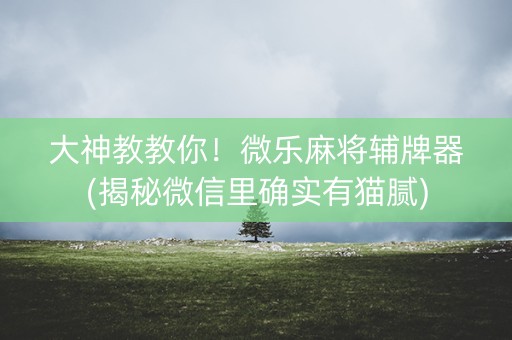 大神教教你！微乐麻将辅牌器(揭秘微信里确实有猫腻)
