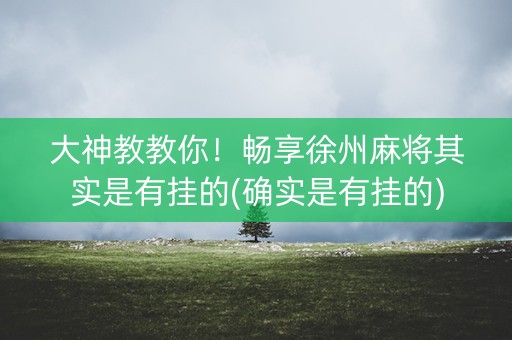 大神教教你！畅享徐州麻将其实是有挂的(确实是有挂的)