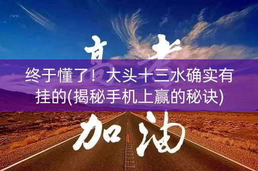 终于懂了！大头十三水确实有挂的(揭秘手机上赢的秘诀)