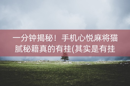 一分钟揭秘！手机心悦麻将猫腻秘籍真的有挂(其实是有挂的)