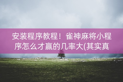 安装程序教程！雀神麻将小程序怎么才赢的几率大(其实真的确实有挂)