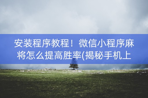 安装程序教程！微信小程序麻将怎么提高胜率(揭秘手机上提高胜率)