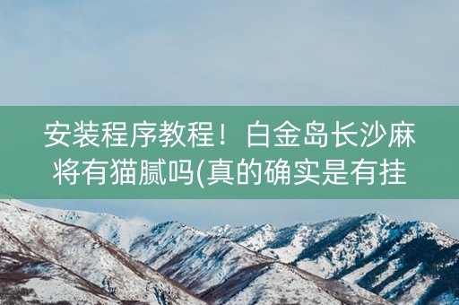 安装程序教程！白金岛长沙麻将有猫腻吗(真的确实是有挂)