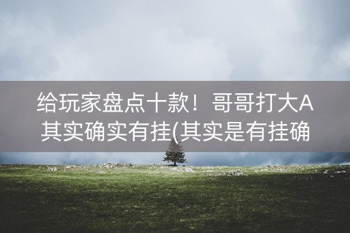 给玩家盘点十款！哥哥打大A其实确实有挂(其实是有挂确实有挂)