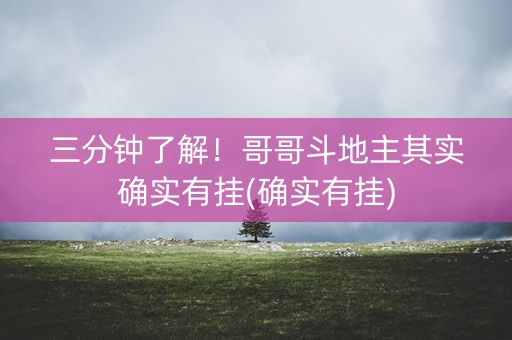 三分钟了解！哥哥斗地主其实确实有挂(确实有挂)