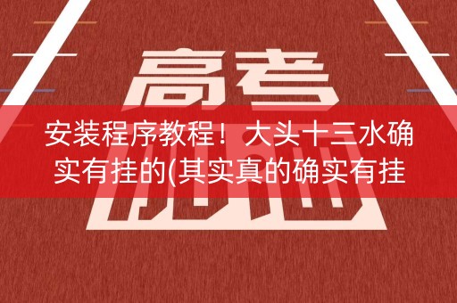 安装程序教程！大头十三水确实有挂的(其实真的确实有挂)