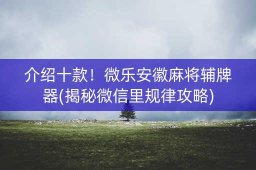 介绍十款！微乐安徽麻将辅牌器(揭秘微信里规律攻略)