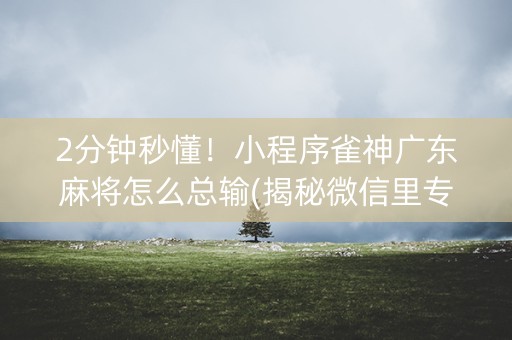 2分钟秒懂！小程序雀神广东麻将怎么总输(揭秘微信里专用神器)