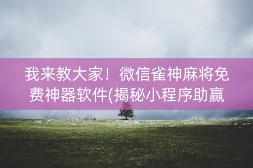 我来教大家！微信雀神麻将免费神器软件(揭秘小程序助赢软件)