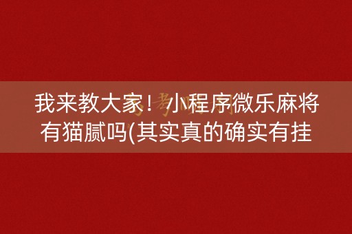 我来教大家！小程序微乐麻将有猫腻吗(其实真的确实有挂)