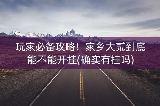 玩家必备攻略！家乡大贰到底能不能开挂(确实有挂吗)