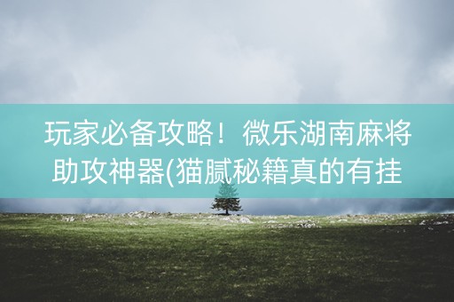 玩家必备攻略！微乐湖南麻将助攻神器(猫腻秘籍真的有挂)