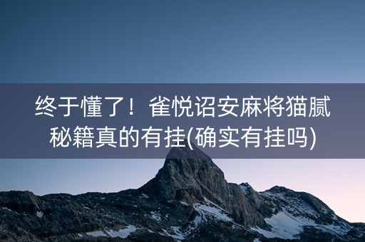 终于懂了！雀悦诏安麻将猫腻秘籍真的有挂(确实有挂吗)