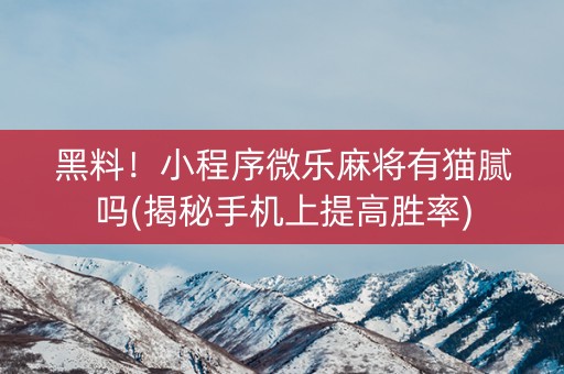 黑料！小程序微乐麻将有猫腻吗(揭秘手机上提高胜率)