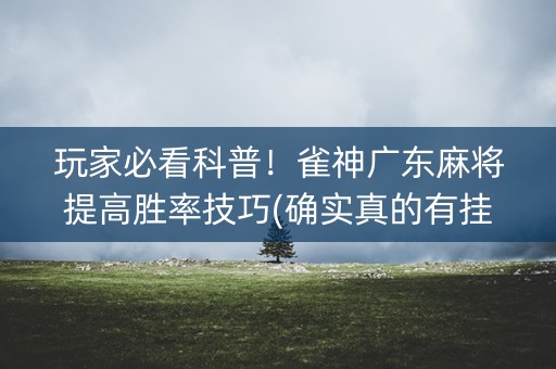 玩家必看科普！雀神广东麻将提高胜率技巧(确实真的有挂)