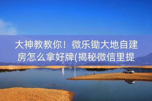 大神教教你！微乐锄大地自建房怎么拿好牌(揭秘微信里提高胜率)