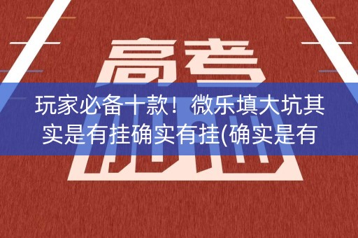 玩家必备十款！微乐填大坑其实是有挂确实有挂(确实是有挂)