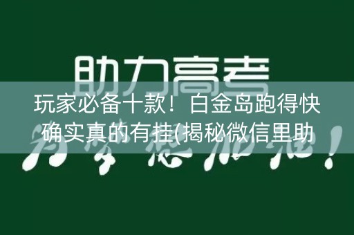 玩家必备十款！白金岛跑得快确实真的有挂(揭秘微信里助赢软件)
