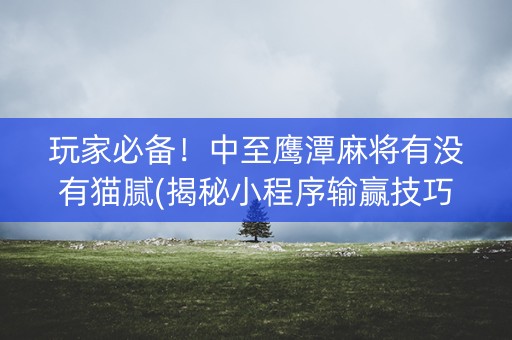 玩家必备！中至鹰潭麻将有没有猫腻(揭秘小程序输赢技巧)