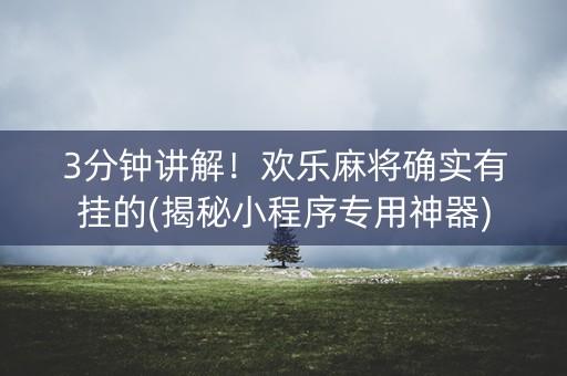 3分钟讲解！欢乐麻将确实有挂的(揭秘小程序专用神器)