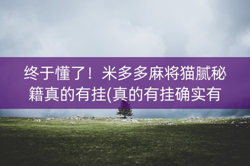 终于懂了！米多多麻将猫腻秘籍真的有挂(真的有挂确实有挂)