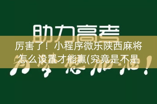 厉害了！小程序微乐陕西麻将怎么设置才能赢(究竟是不是有挂)