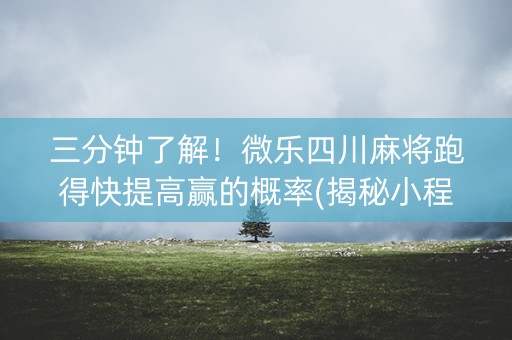 三分钟了解！微乐四川麻将跑得快提高赢的概率(揭秘小程序助赢神器)