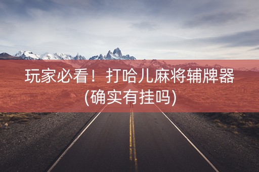 玩家必看！打哈儿麻将辅牌器(确实有挂吗)