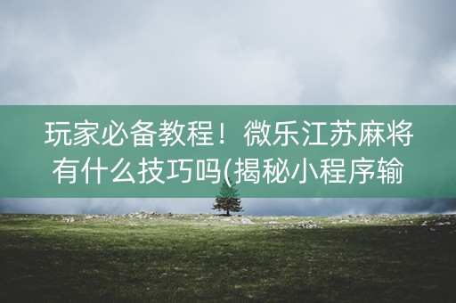 玩家必备教程！微乐江苏麻将有什么技巧吗(揭秘小程序输赢规律)