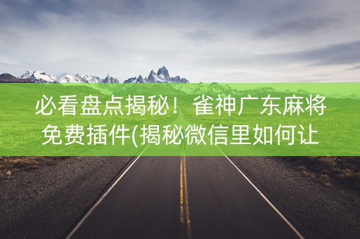 必看盘点揭秘！雀神广东麻将免费插件(揭秘微信里如何让牌变好)