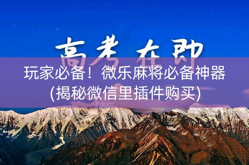 玩家必备！微乐麻将必备神器(揭秘微信里插件购买)